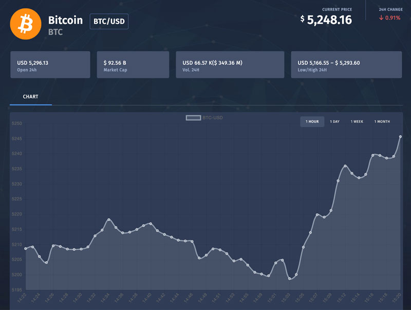 Bitcoin Live Chart Euro